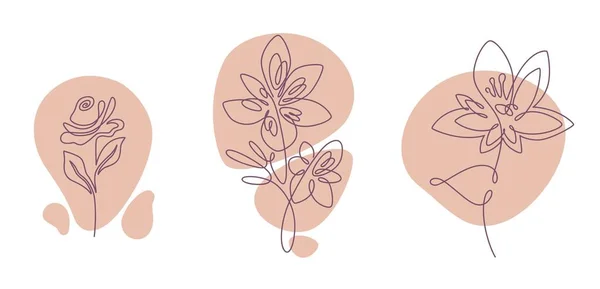 Fleurs Feuilles Fleurs Flore Végétation Dessin Minimaliste Isolé Avec Ligne — Image vectorielle