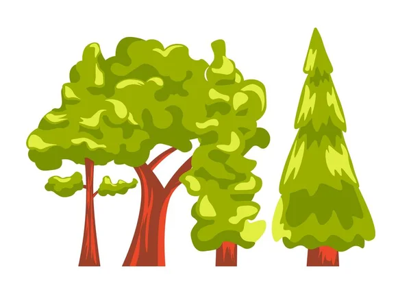 Hutan Alam Atau Hutan Dengan Pohon Dan Cabang Dedaunan Dan - Stok Vektor