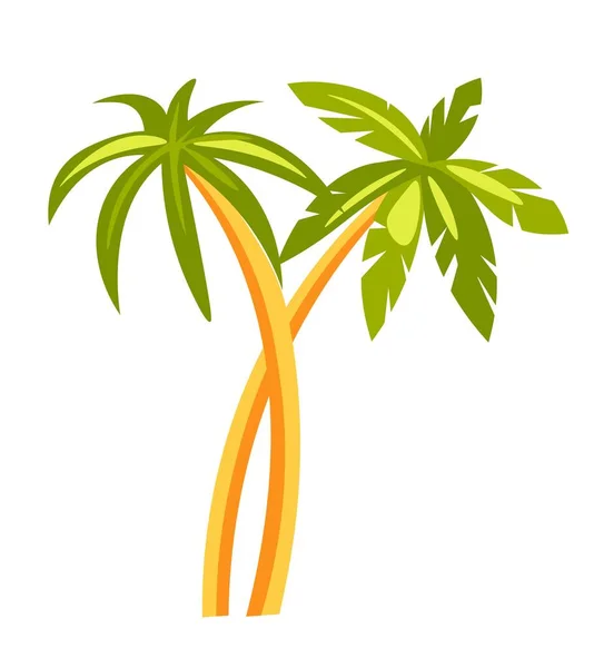 Árbol Exótico Con Hojas Follaje Ramas Grandes Ramitas Vegetación Tropical — Archivo Imágenes Vectoriales