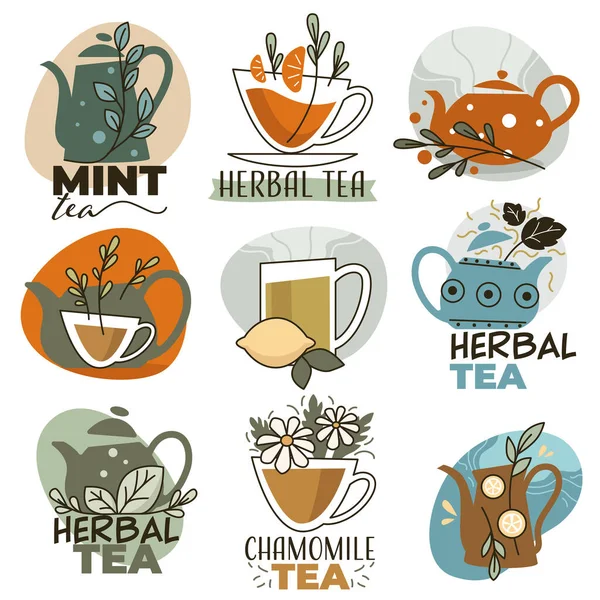 Farklı Aromalı Organik Doğal Bitki Çayı Çaydanlık Bardakta Aromatik Içecek — Stok Vektör