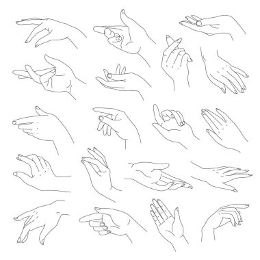 Kadın elleri, bilekleri ve parmakları olan zarif kollar. İzole edilmiş kadın uzvu, işaret ve jest. Sözsüz dil. Sinyal çizgisi sanatı ve jest ifadesi. Düz biçimli vektör