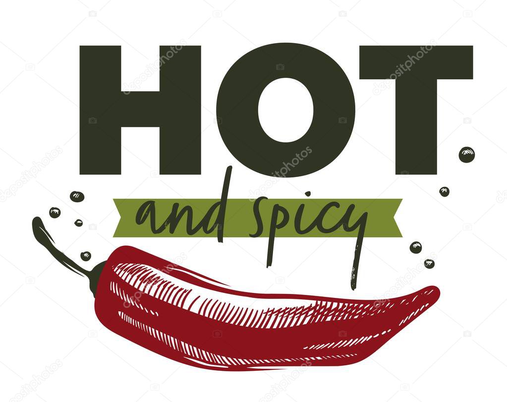 Spicy and hot chili pepper, isolated icon of sign for shop or store products. Assortment of condiments and dish additions. Aromatic powder for cooking food. Label or emblem vector in flat style