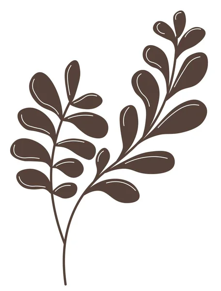 有叶子的分枝的植物组成 有叶子和叶子的孤立的植物图标 室内设计和时尚装饰的花束 植物和植物生物多样性 扁平的病媒 — 图库矢量图片