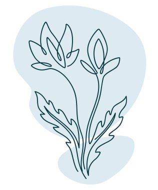 Sapında çiçek ve yapraklar olan zarif bir çiçek, renkli, izole moda çiçekli bir çizim. Botanik ve minimalist çiçekçi kompozisyonu. Etiket ya da ekolojik üretim buketi. Düz biçimli vektör