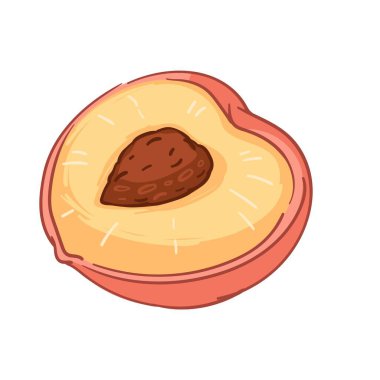 Tohumlu şeftali, olgun ve tatlı nektarin, kayısı ikiye bölünmüş. Çiftlikte yetişen organik ve doğal ürünler, süpermarkette ya da dükkanda meyvelerin izole edilmiş ikonu. Sağlık ve vitaminler. Düz biçimli vektör