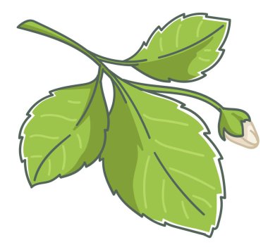 Yaprakları ve çiçekleri filizlenmeye başlayan çilek yetiştirmek. Bitki örtüsünün, bahçıvanlığın, tarımın, tarımın, organik malzemelerin ve botaniğin yetiştirilmesi ve büyümesi. Düz biçimli vektör