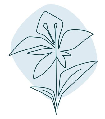 Bahar ya da yaz aylarında açan çiçekler, soyutlanmış sanat florası ve botanik süslemeleri. Çiçek açan ve serpilen, yeşillik ve mevsimlik süsler, egzotik çiçekçi dükkanı veya mağazası. Düz biçimli vektör