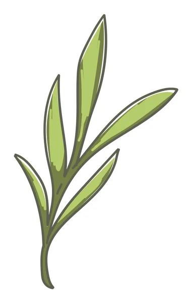 Ramita Planta Arbusto Decoración Botánica Aislada Ambiente Crecimiento Planta Decorativa — Archivo Imágenes Vectoriales
