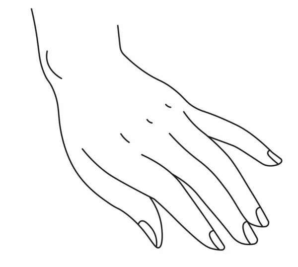 拥有修剪过的指甲和干净的手指的女性的手 孤立的女性的手掌和手指 展示无语言交流的非语言符号 美容院或工作室标志 矢量呈扁平型 — 图库矢量图片