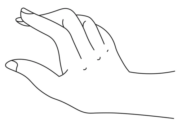 Mão Com Dedos Limpos Isolado Elegante Palma Feminina Masculina Mostrando —  Vetores de Stock