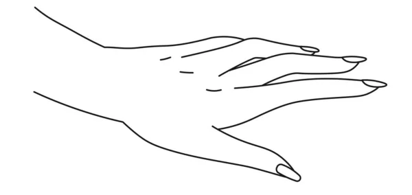 优雅的女性手 有修剪过的手指和柔软的手掌 孤立的线条艺术 简单简约的形状 美容室或沙龙标志类型 与手势交流 矢量呈扁平型 — 图库矢量图片
