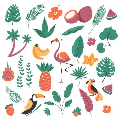 Exotic flora and fauna, birds and plants of tropics. Isolated palm tree, bushes and flowers. Flamingo and monstera, passion fruit and banana, watermelon slice. Vector in flat style illustration clipart