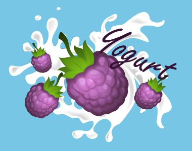 Taze böğürtlenli yoğurt, smoothie veya tatlı dutlu süt. Paket olarak böğürtlen, reklam veya etiketli organik süt ürünleri. Vejetaryenler ve diyet için milkshake. Düz biçimli vektör