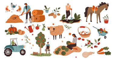 Working on field, agriculture and farming, using machinery and equipment for harvesting. Gathering apples, feeding animals and tending crops, vegetables and ripe fruits. Vector in flat style clipart