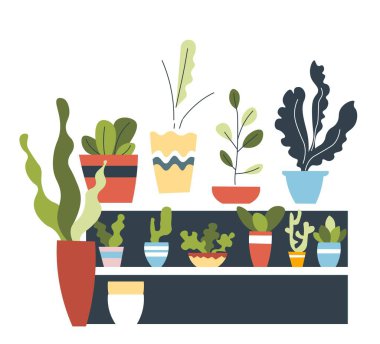 Saksı ve vazolardaki çiçek süslemeleri, yemyeşil yapraklar ve yapraklarla izole edilmiş çiçekler. İlkbahar ve çiçek açma, filizler ve portakal büyümesi. Bahçecilik hobisi ve çiçekçilik sanatı. Düz biçimli vektör