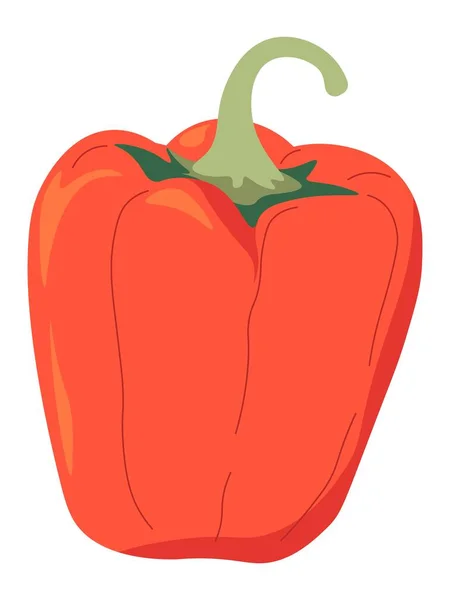 天然有机产品 从市场上分离甜椒 烹调的配料 美味的红辣椒 节食和营养 蔬菜和农产品的增长 矢量呈扁平型 — 图库矢量图片