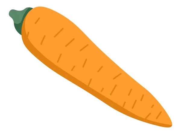 Природные Органические Морковь Изолированные Овощи Приготовления Пищи Поддержания Здорового Питания — стоковый вектор