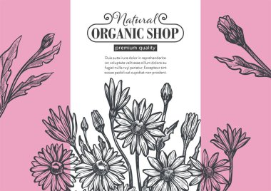 Çiçekçi ya da kozmetik ürünler mağazası, kaliteli kaliteli üretimi olan organik dükkan. Çiçek buketi, kır çiçeği yaprakları ve çiçek açma, tek renkli çizim ve pazarlama. Düz biçimli vektör