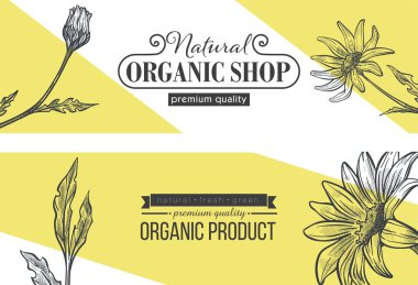 Kaliteli ürünleri, taze ve yeşil üretimi olan organik mağazalar için reklam afişi veya poster. Çiçekçi çeşitleri ya da kozmetik ürünleri, çiçek açan papatya çiçekleri. Düz biçimli vektör