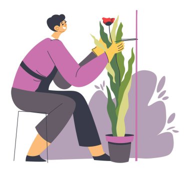 Male character caring for plants in pots, potted flowers with blooming and lush foliage. Gardener sitting on chair by flora, florist hobby or professional occupation of man. Vector in flat style