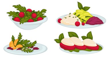 Greenery and salads, tomatoes and cheese, plated with served food and dishes. Restaurant and cafe assortment of dishes in menu. Vegan and vegetarian snacks with mandarin. Vector in flat style
