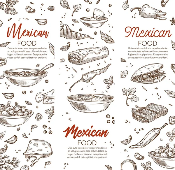Menu with Mexican dishes and food, advertisement or flyer with special food in restaurant or cafe. Soup and spicy pepper, taco with meat and vegetables, quesadilla and wraps. Vector in flat style
