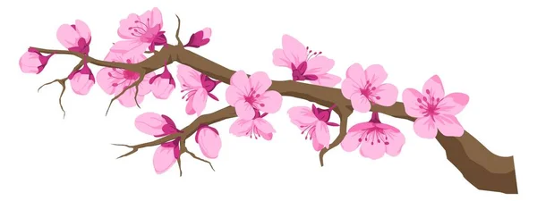 stock vector Sakura flowers in bloom on branch, twig with cherry blossom, flourishing in spring or summer. Delicate and elegant, tender petals of buds. Asian flora oriental exotic seasonal botany. Vector in flat