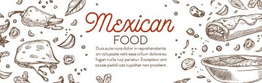 Traditional mexican dishes and food, burrito wrap and taco, salad with vegetables and spices and snacks. Cheese and tortilla, monochrome sketch outline of menu for restaurant. Vector in flat style