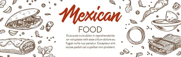 Traditional Mexican Dishes Vegetables Meat Taco Tortilla Quesadilla Salad Dishes — 图库矢量图片