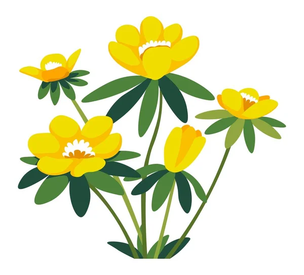 Розквітлі Квітучі Квіти Ізольовані Декоративні Квіткові Композиції Пелюстками Стеблами Листям — стоковий вектор