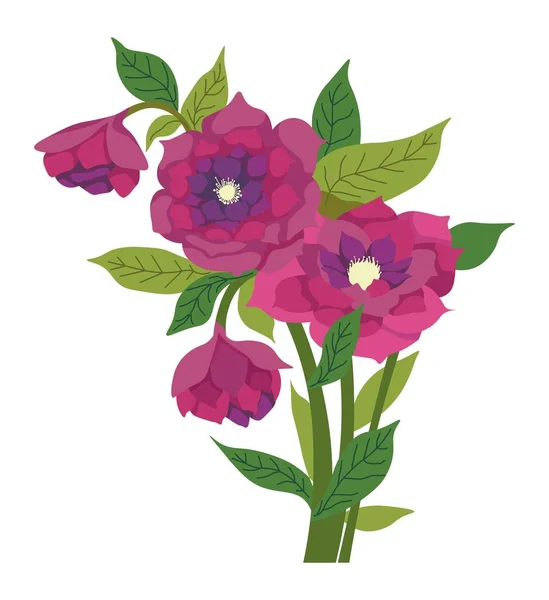 Fleuriste Composition Fleurs Fleurs Printemps Isolé Flore Été Fleur Plantes — Image vectorielle