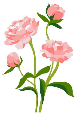 Çiçekli şakayık ya da güller, çiçek açan yapraklar ve botanik. Çiçek yapraklı çiçek kompozisyonu. Alstroemeria ya da Gerbera, hediye ya da hediye, bayram için tebrik kartı süslemesi. Düz vektör
