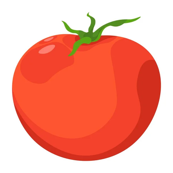 用于节食和排毒的有机和天然食物 分离新鲜生番茄蔬菜 蔬菜和素食菜单的配菜 市场上有杂货和美味的收获食品 矢量呈扁平型 — 图库矢量图片