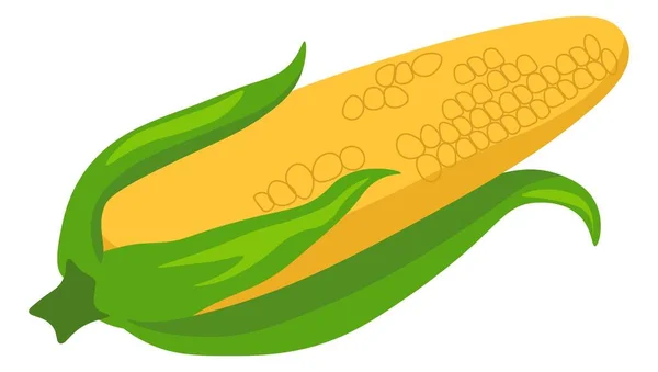 Fresh Sweet Corn Product Isolated Farm Grown Product Shop Store — Vetor de Stock