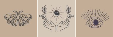 Mystic and magical symbols, isolated moth animal with drawings on wings. Hands holding crescent moon and sun eclipse, wreath with flowers and foliage. Seeing eye, sketches. Vector in flat style