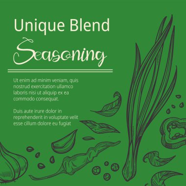 Herbs and spices for cooking dishes and preparing delicious food. Unique blend seasoning for meal, pepper and garlic, mint leaves and spring onion and greenery for salads. Vector in flat style
