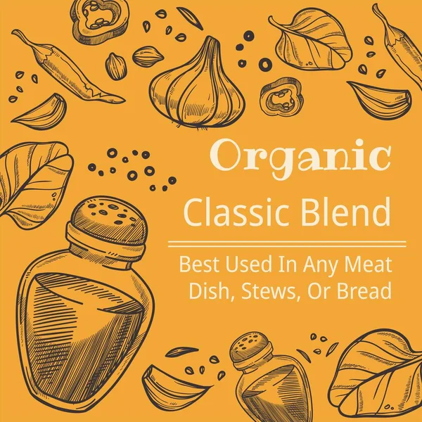 Classic Blend Spices Organic Seasoning Dishes Food Best Used Any — Vettoriale Stock