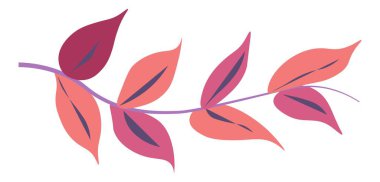 Branch of botany, isolated twig with foliage, leaves decoration. Botanic element, spring or summer seasonal blossom and blooming. Stem and flora, ornament for card designs. Vector in flat style