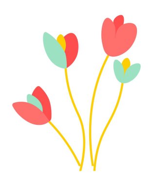 Flourishing plants, isolated tulips with blooming and solid stem. Symbol of spring and summer, blossom of flora with tender petals and leaves. Foliage of botany decoration. Vector in flat style