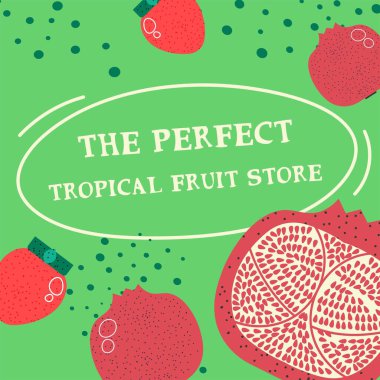 Pitaya and berries in perfect tropical fruit store. Exotic meal and food to buy, shop with organic and natural ingredients. Strawberries and whole pomegranate. Vector in flat style illustration