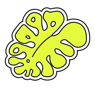 Çiçek süsleme ya da süsleme, delikli izole tropikal yaprak. Canavar yaprakları, egzotik botanik ve çiçekçi kompozisyonları. Etiket ya da kart süsü, yama yaprağı. Düz biçim illüstrasyonunda vektör