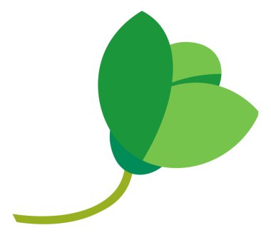 Doğa biyolojik çeşitliliği, çiçek süslemesi ya da yeşil yapraklar. Sapında yaprak, çiçek ya da botanik süsü var. Bitki yetiştirme, bahçıvanlık, yeşillik. Düz biçim illüstrasyonunda vektör