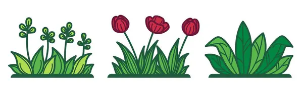Kvetoucí Tulipány Květy Luk Nebo Polí Izolovaný Květ Rozkvět Rostlin — Stockový vektor