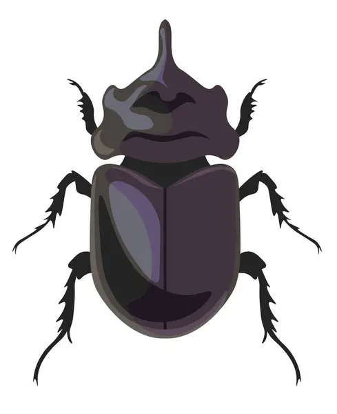 Hmyz Brouci Divočiny Přírody Izolovaný Brouk Nosorožec Dynastinae Divoká Zvěř — Stockový vektor
