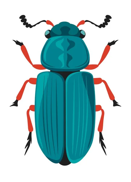 Nécrobia Rufipes Coléoptère Jambon Pattes Rouges Isolé Insecte Vivant Dans — Image vectorielle