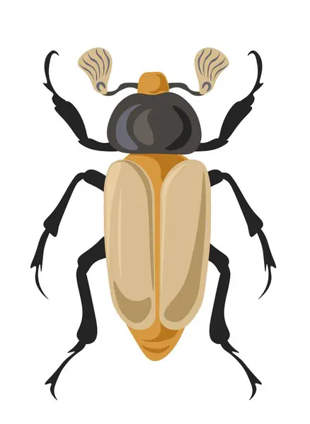 Jewel Scarabs Eller Chrysina Bug Isolerte Insektsarter Biologisk Mangfold Natur – stockvektor