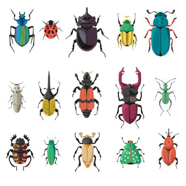 Böceklerin ve böceklerin çeşitleri, izole edilmiş yedi uçlu uğur böceği veya uğur böceği, kanatlı, bacaklı ve antenli geyik ve güve. Doğa ve biyolojik çeşitlilik böcek türleri. Düz biçimli vektör
