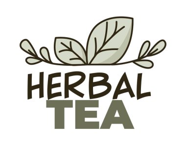 Organik ve doğal içecek, yapraklı izole bitki çayı, nane. Lezzetli kafe ya da restoran içeceği, logoti ya da afiş, ürün paket etiketi. İçeceklerin çeşitli çeşitleri. Düz biçimli vektör