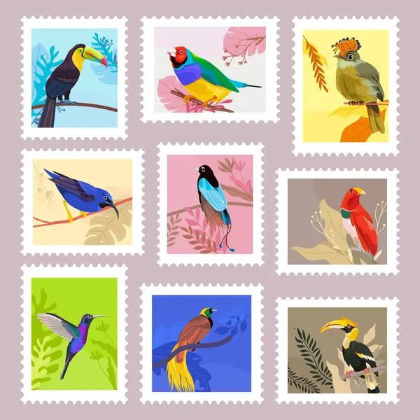 Postmark design collection with tropical birds. Colorful animals at natural background, postage mark set. Flat fauna design for delivery service, international mail elements