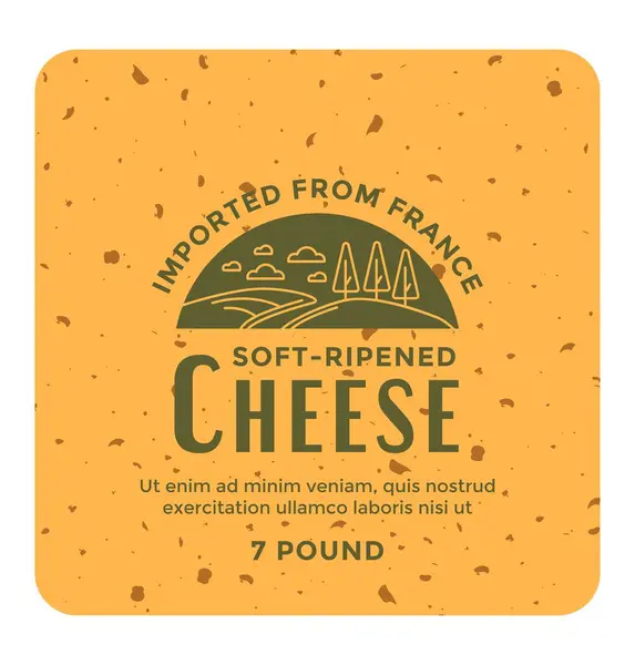 Вкусный Органический Сыр Импортируемый Франции Вкусная Молочная Еда Закуски Питания — стоковый вектор